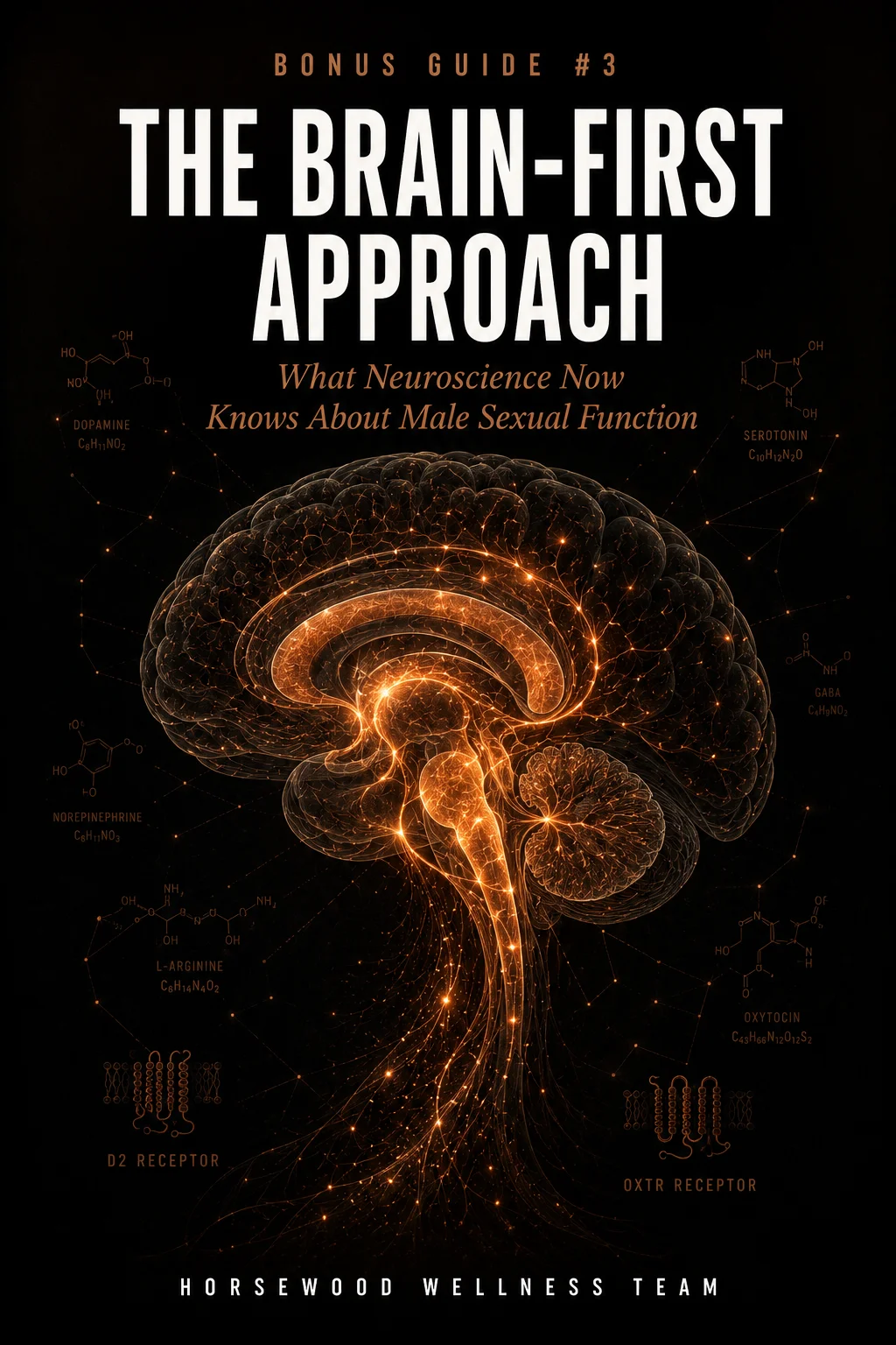 The Brain-First Approach